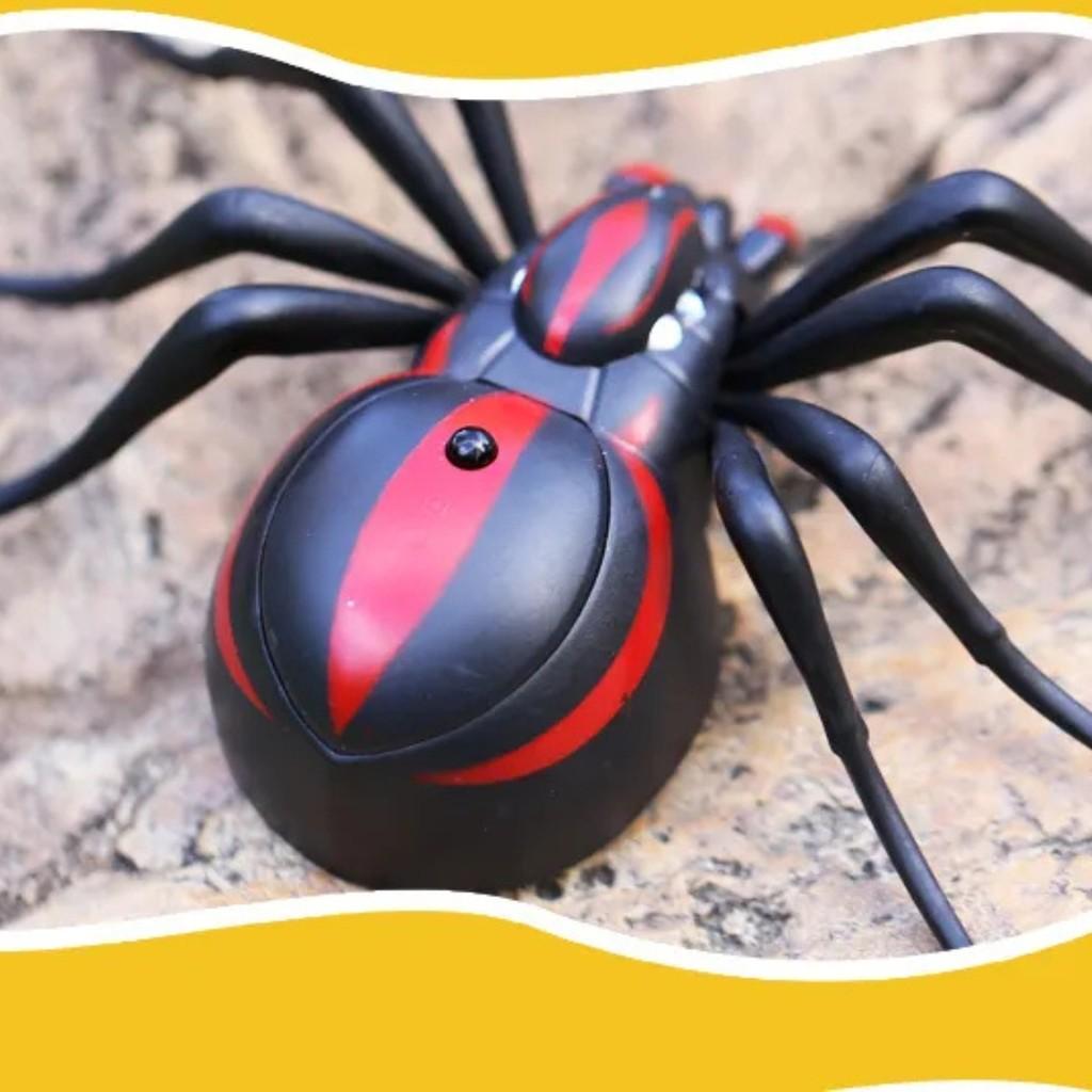 Brinquedo Infantil Aranha Controle Remoto Com Luz - Castela