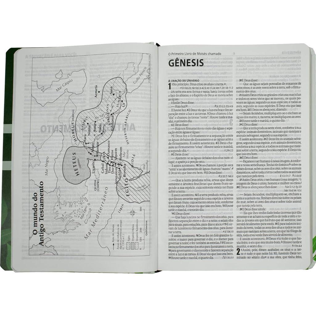Bíblia Sagrada Fruto Do Espirito Naa Letra Normal Capa Dura Verde