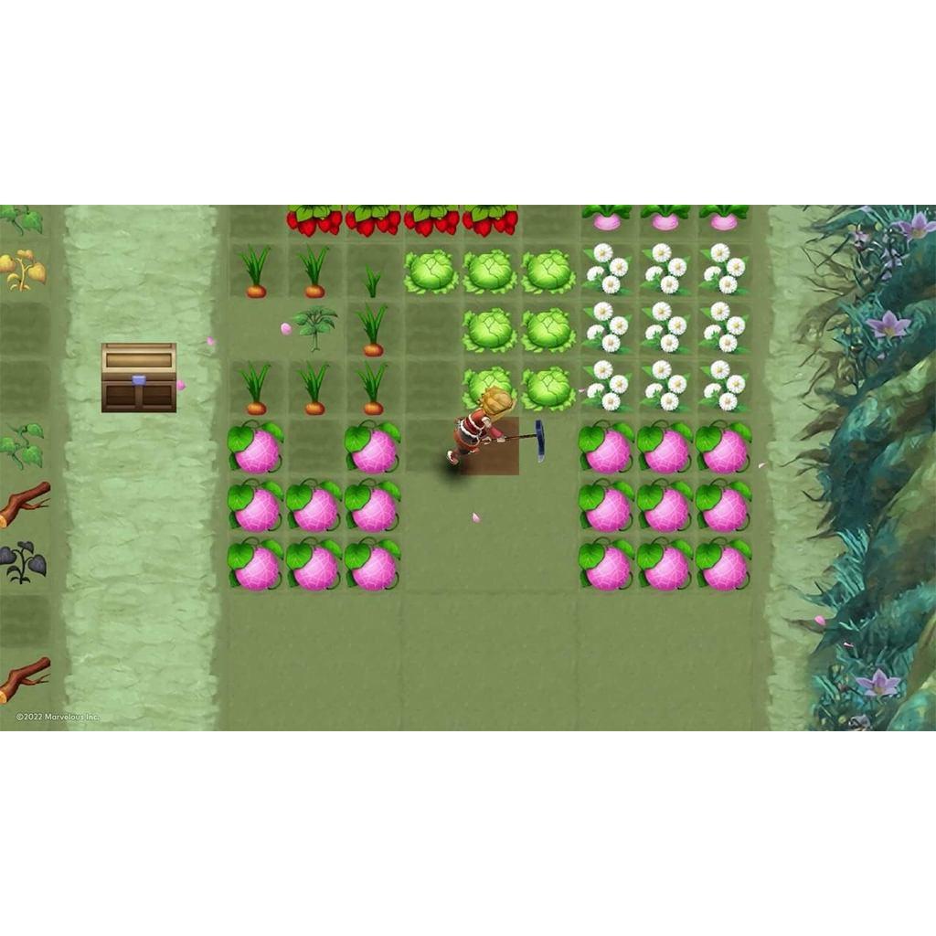 Rune Factory 3 Special Switch Aus Midia Fisica