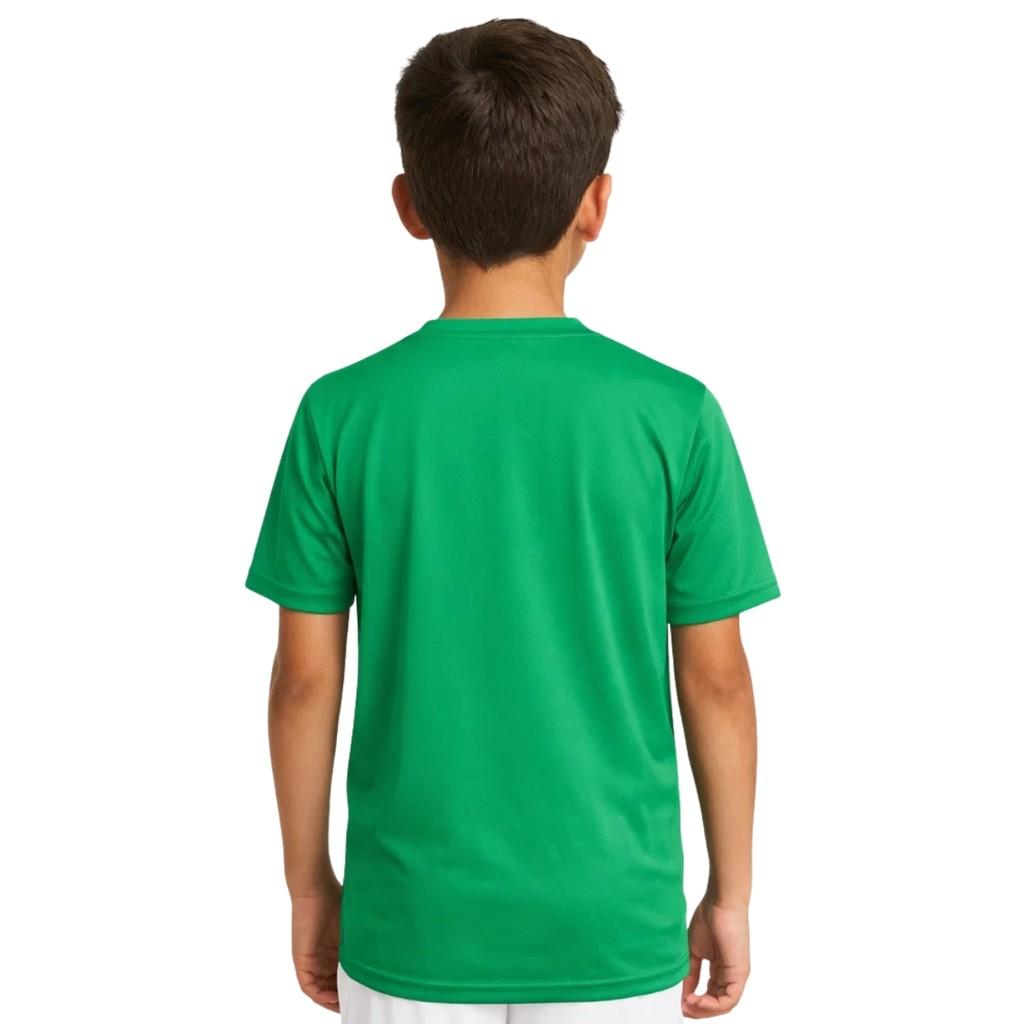 Camisa Palmeiras Infantil Juvenil 1914 26 Oficial Licenciado