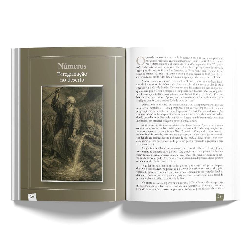 Estudando A Bíblia De Gênesis A Apocalipse Um Guia Completo Para Compreender Cada Livro Das Escrituras