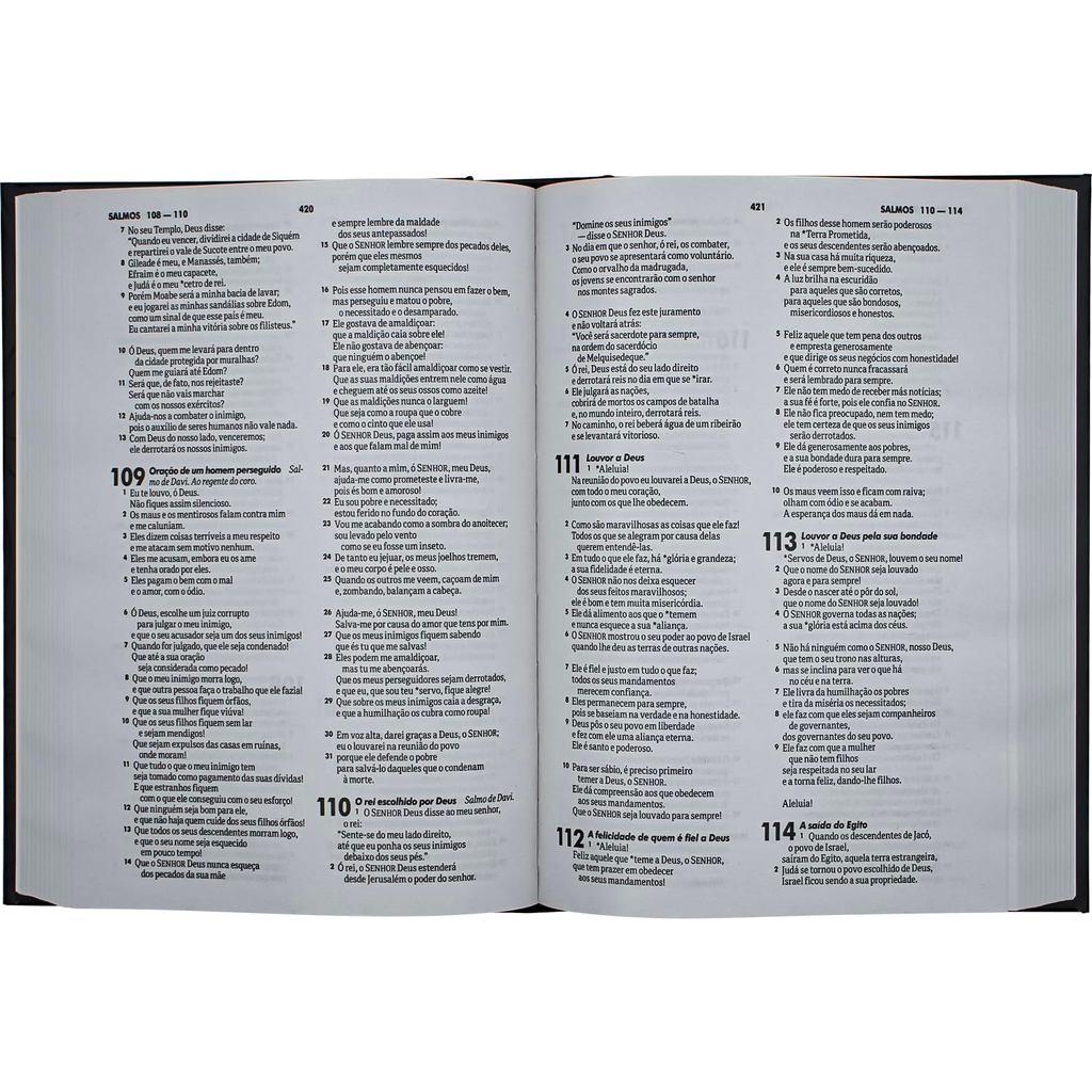 Bíblia Sagrada Ntlh Letra Normal Semear Capa Dura Preta
