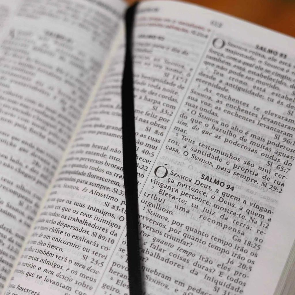 Bíblia King James Fiel 1611 Concordância E Pilcrows Capa Luxo Marrom