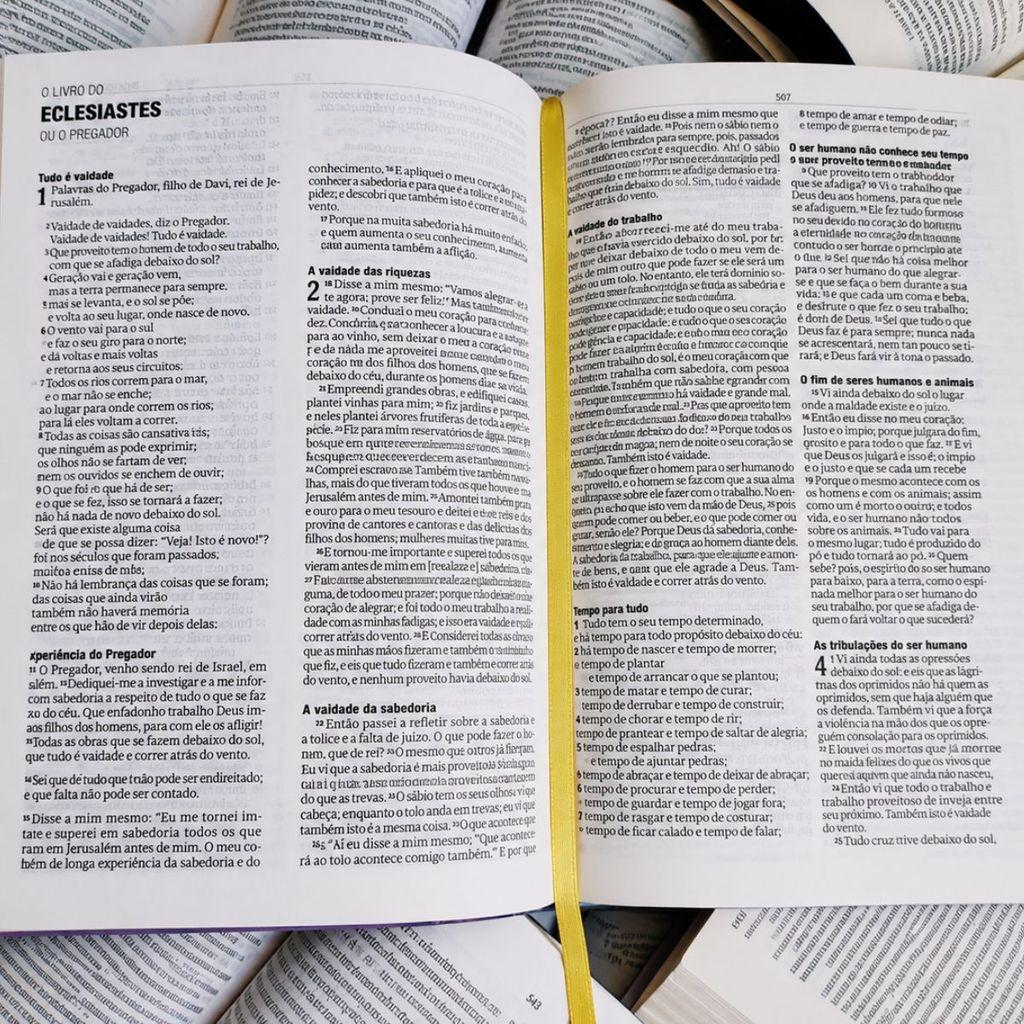 Bíblia Sagrada Naa Capa Dura Florescer