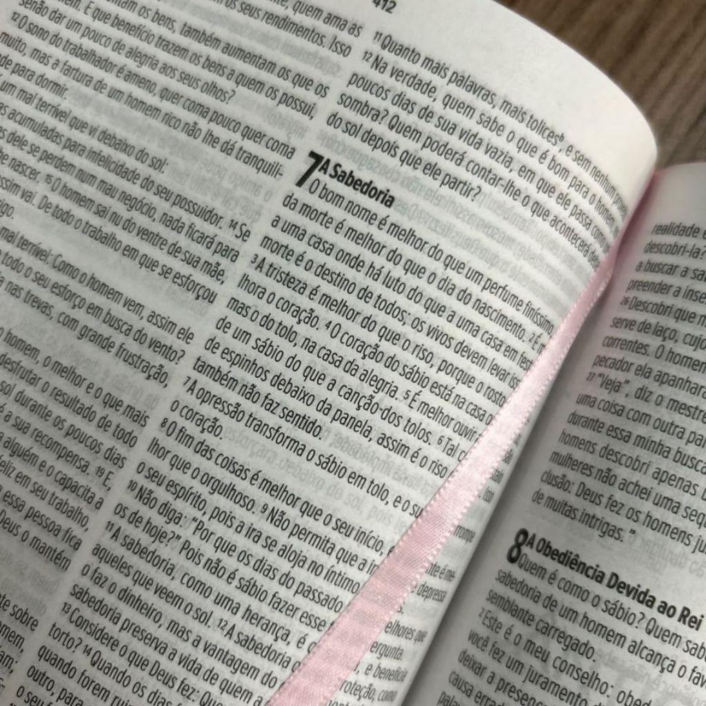 Bíblia Sagrada Slim Nvi Capa Dura Rosa Florença
