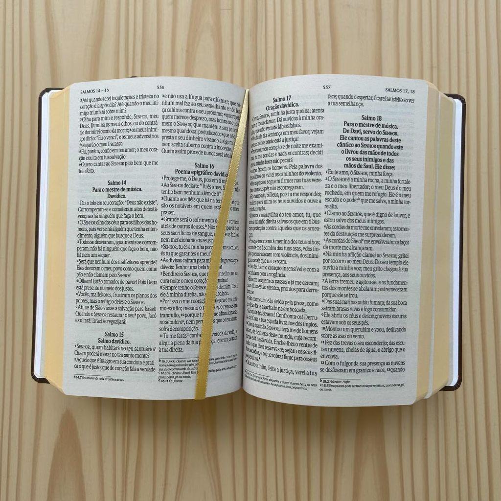 Bíblia Sagrada Letra Grande Nvi Capa Dura Floral Ganache