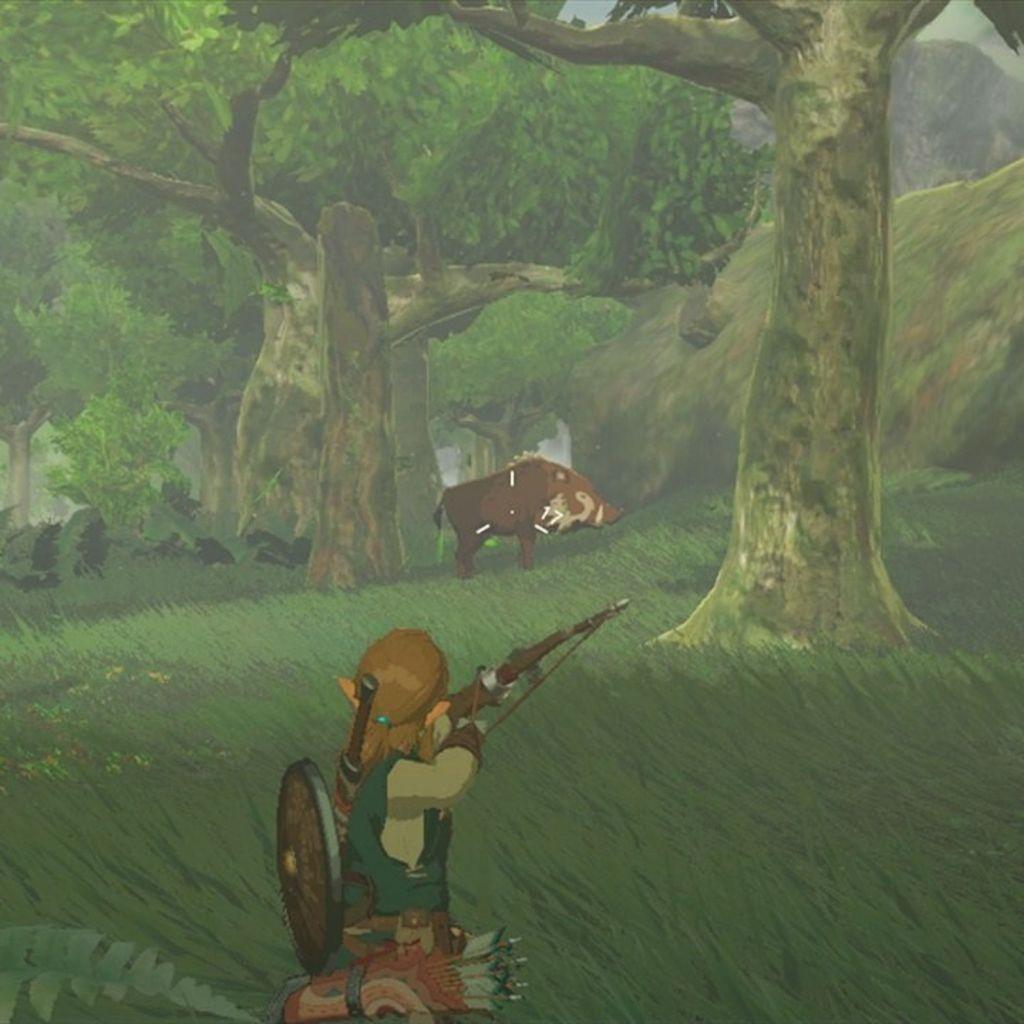 The Legend Of Zelda Breath Of The Wild Switch Midia Fisica