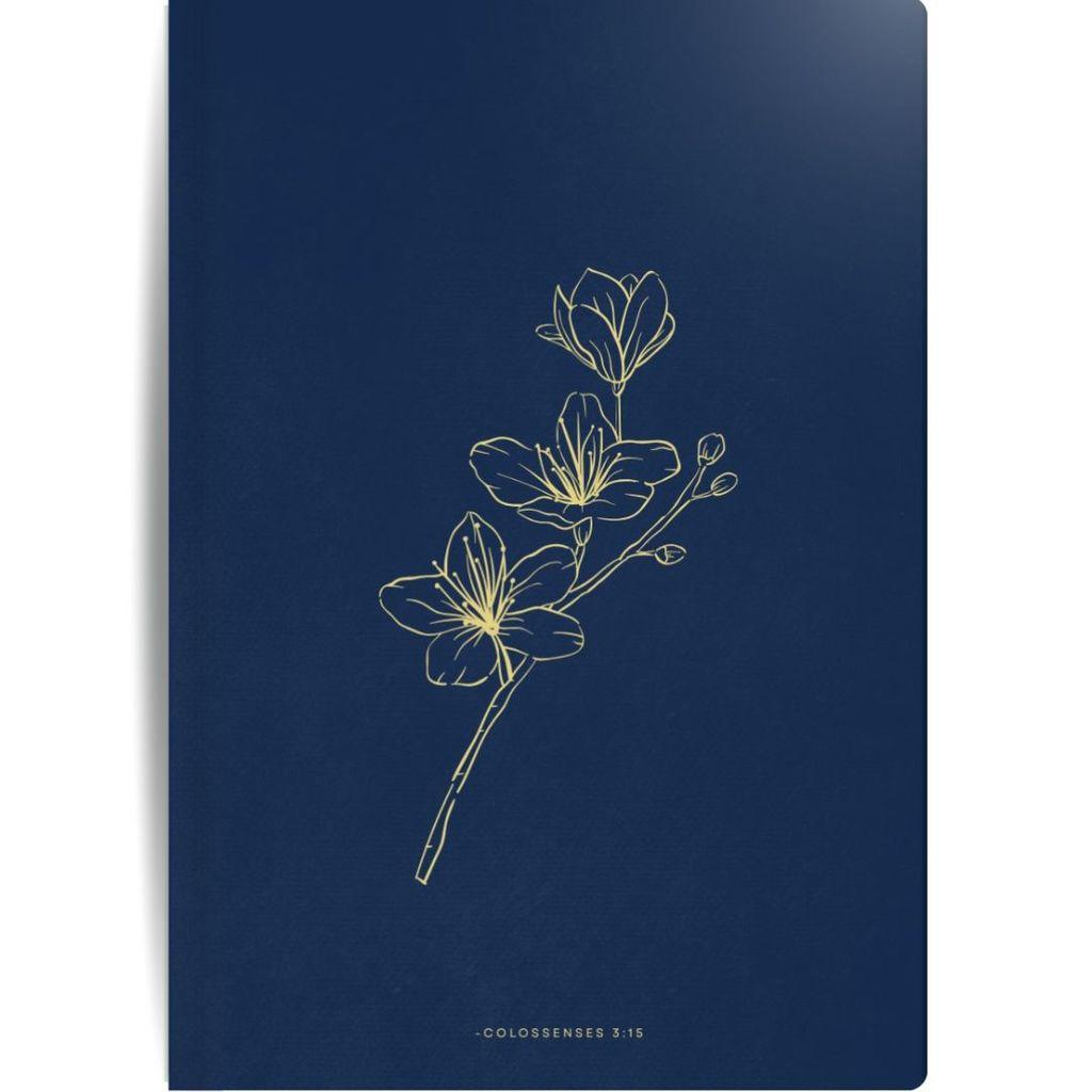 Caderneta Sem Pauta Anotações Moleskine Colossenses