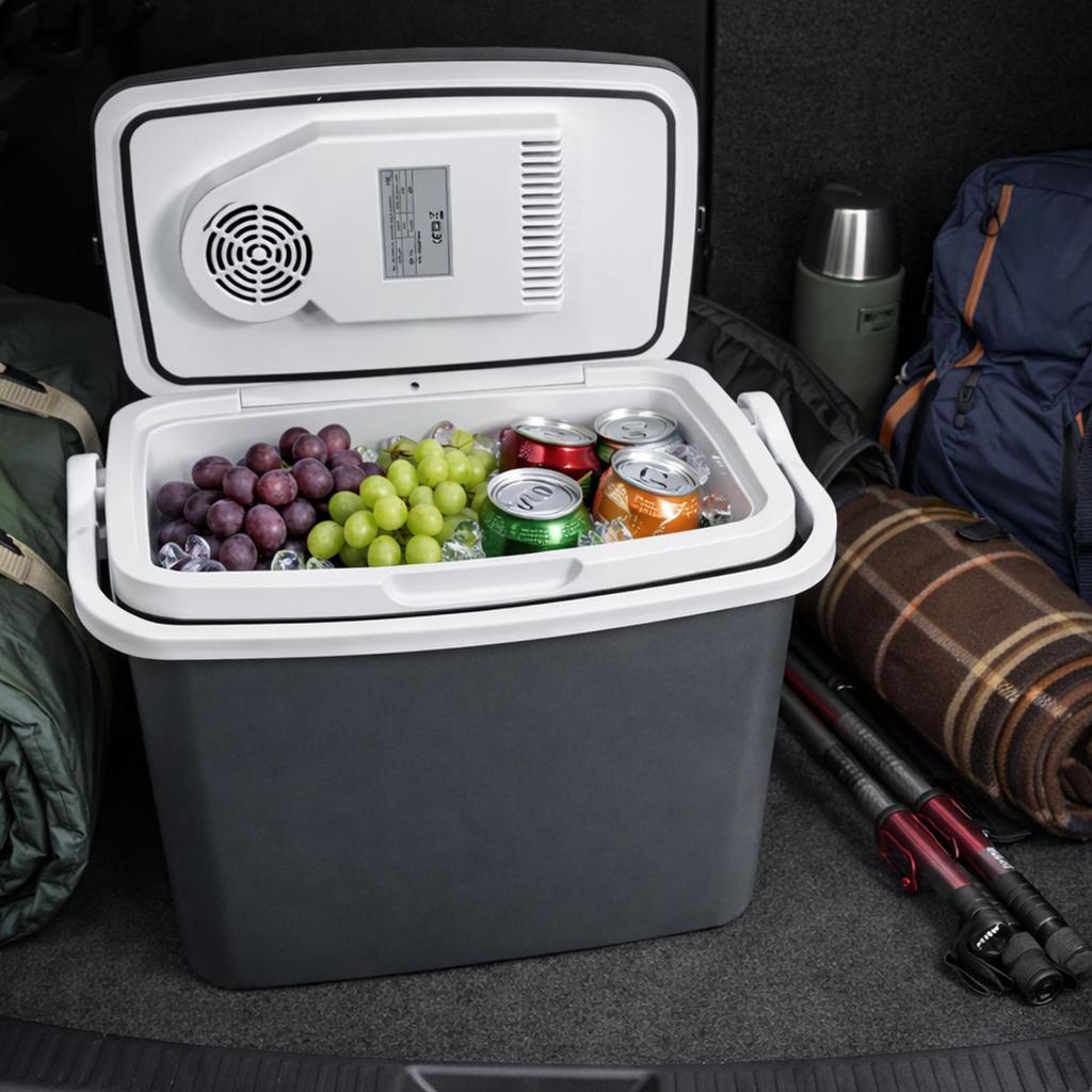 Mini Refrigerador Aquecedor Cooler Automotivo 18 Litros 12v24v